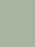 #a9b3a0 color image