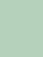 #b5d1bc color image