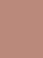 #b9897b color image