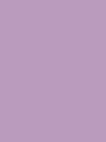 #ba9bbd color image