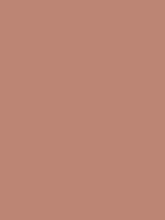#bc8574 color image
