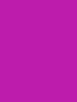 #bd1cac color image