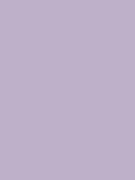 #beb0c9 color image