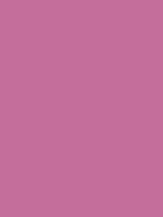 #c46e9b color image