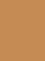 #c58b54 color image