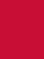 #c80e35 color image