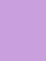 #ca9fdd color image