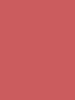 #cb5c5e color image