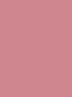#d0868e color image