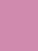 #d08aae color image
