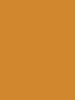 #d1872d color image