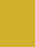 #d1b02d color image