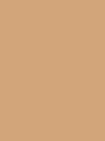 #d2a57a color image