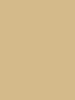 #d4ba8a color image