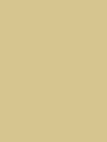 #d6c58e color image