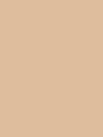 #debd9d color image