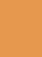 #e6984e color image