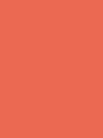 #eb6952 color image
