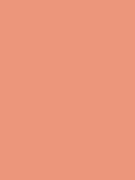#ec967b color image