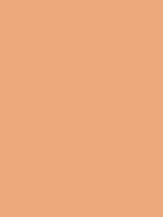 #eca97b color image