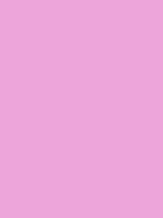#eda5da color image