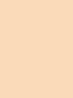 #fadab9 color image