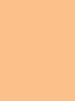 #fcc08b color image