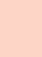 #fdd5c6 color image