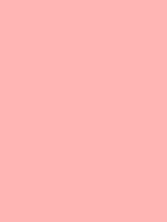 #ffb6b2 color image